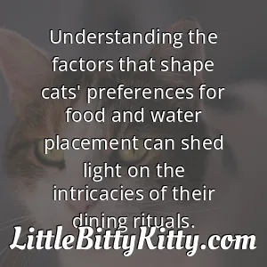 Understanding the factors that shape cats' preferences for food and water placement can shed light on the intricacies of their dining rituals.