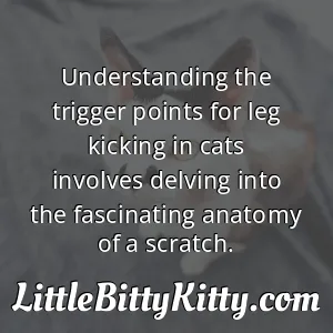 Understanding the trigger points for leg kicking in cats involves delving into the fascinating anatomy of a scratch.