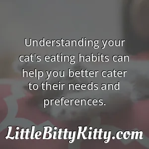 Understanding your cat's eating habits can help you better cater to their needs and preferences.