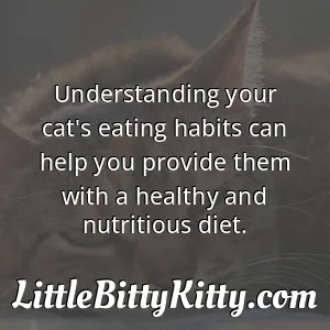 Understanding your cat's eating habits can help you provide them with a healthy and nutritious diet.