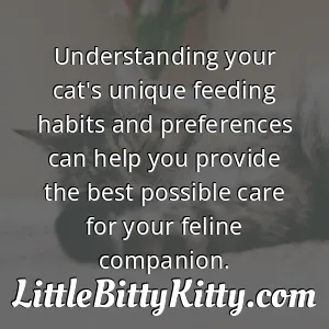 Understanding your cat's unique feeding habits and preferences can help you provide the best possible care for your feline companion.