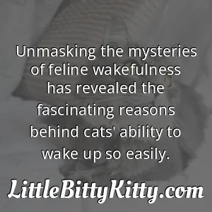Unmasking the mysteries of feline wakefulness has revealed the fascinating reasons behind cats' ability to wake up so easily.