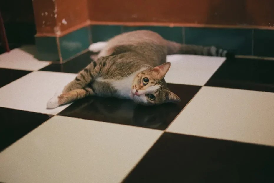 Unraveling the Arm Sleeping Enigma: Why Do Cats Choose Your Limb as Their Slumber Sanctuary?
