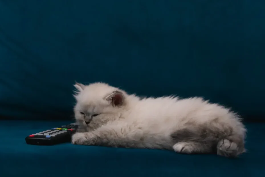 Unveiling the Mystery: Why Do Cats' Claws Get Thick?