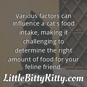 Various factors can influence a cat's food intake, making it challenging to determine the right amount of food for your feline friend.