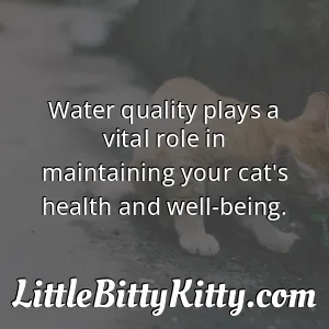 Water quality plays a vital role in maintaining your cat's health and well-being.