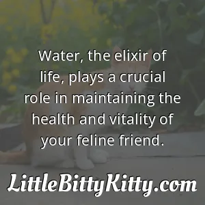 Water, the elixir of life, plays a crucial role in maintaining the health and vitality of your feline friend.