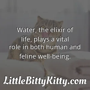 Water, the elixir of life, plays a vital role in both human and feline well-being.