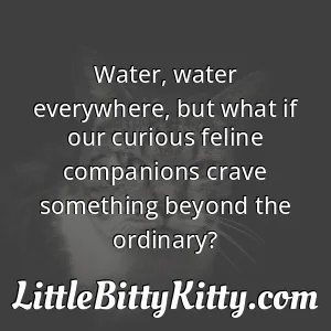 Water, water everywhere, but what if our curious feline companions crave something beyond the ordinary?