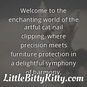 Welcome to the enchanting world of the artful cat nail clipping, where precision meets furniture protection in a delightful symphony of harmony.