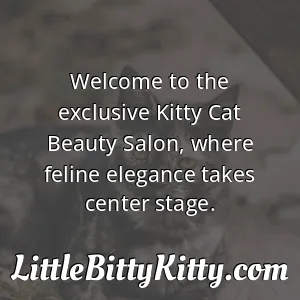 Welcome to the exclusive Kitty Cat Beauty Salon, where feline elegance takes center stage.