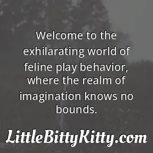 Welcome to the exhilarating world of feline play behavior, where the realm of imagination knows no bounds.