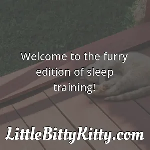 Welcome to the furry edition of sleep training!