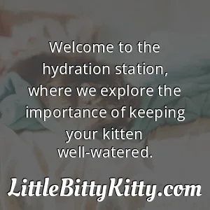 Welcome to the hydration station, where we explore the importance of keeping your kitten well-watered.