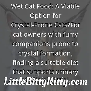 Wet Cat Food: A Viable Option for Crystal-Prone Cats?For cat owners with furry companions prone to crystal formation, finding a suitable diet that supports urinary health is crucial.