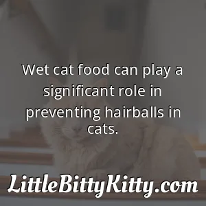 Wet cat food can play a significant role in preventing hairballs in cats.