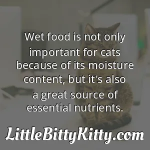 Wet food is not only important for cats because of its moisture content, but it's also a great source of essential nutrients.