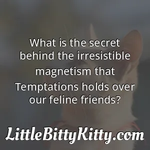 What is the secret behind the irresistible magnetism that Temptations holds over our feline friends?