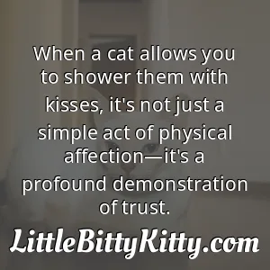 When a cat allows you to shower them with kisses, it's not just a simple act of physical affection—it's a profound demonstration of trust.