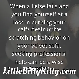 When all else fails and you find yourself at a loss in curbing your cat's destructive scratching behavior on your velvet sofa, seeking professional help can be a wise decision.