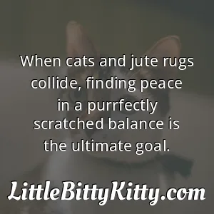 When cats and jute rugs collide, finding peace in a purrfectly scratched balance is the ultimate goal.
