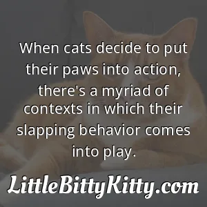 When cats decide to put their paws into action, there's a myriad of contexts in which their slapping behavior comes into play.