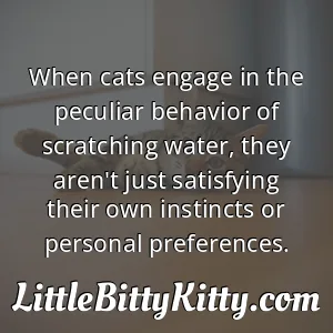 When cats engage in the peculiar behavior of scratching water, they aren't just satisfying their own instincts or personal preferences.