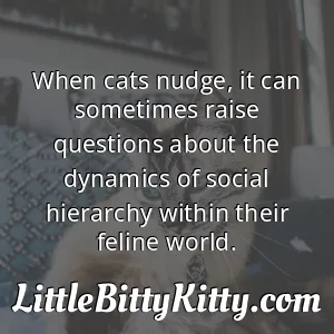 When cats nudge, it can sometimes raise questions about the dynamics of social hierarchy within their feline world.