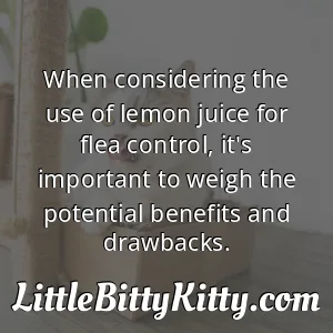 When considering the use of lemon juice for flea control, it's important to weigh the potential benefits and drawbacks.