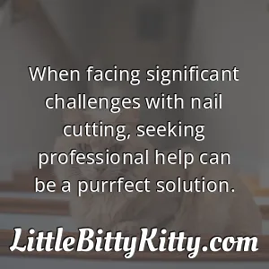 When facing significant challenges with nail cutting, seeking professional help can be a purrfect solution.