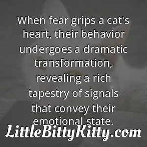 When fear grips a cat's heart, their behavior undergoes a dramatic transformation, revealing a rich tapestry of signals that convey their emotional state.