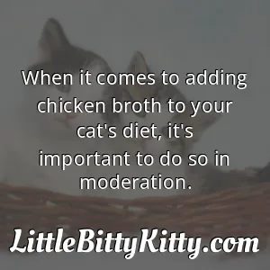 When it comes to adding chicken broth to your cat's diet, it's important to do so in moderation.
