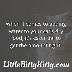 When it comes to adding water to your cat's dry food, it's essential to get the amount right.