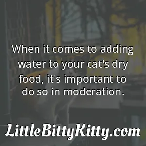 When it comes to adding water to your cat's dry food, it's important to do so in moderation.