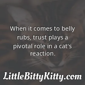 When it comes to belly rubs, trust plays a pivotal role in a cat's reaction.