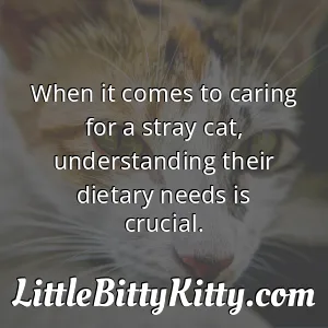 When it comes to caring for a stray cat, understanding their dietary needs is crucial.