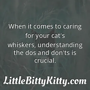 When it comes to caring for your cat's whiskers, understanding the dos and don'ts is crucial.