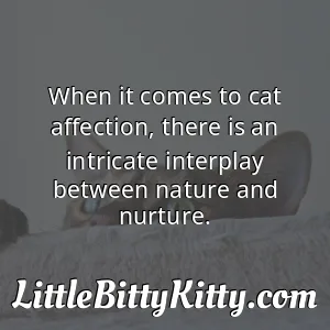 When it comes to cat affection, there is an intricate interplay between nature and nurture.