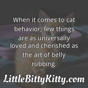 When it comes to cat behavior, few things are as universally loved and cherished as the art of belly rubbing.