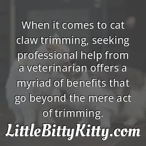When it comes to cat claw trimming, seeking professional help from a veterinarian offers a myriad of benefits that go beyond the mere act of trimming.