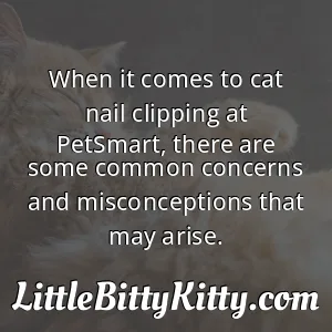 When it comes to cat nail clipping at PetSmart, there are some common concerns and misconceptions that may arise.