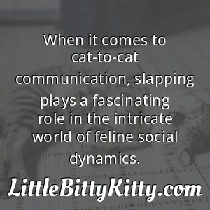 When it comes to cat-to-cat communication, slapping plays a fascinating role in the intricate world of feline social dynamics.
