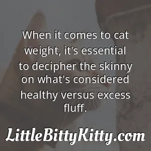 When it comes to cat weight, it's essential to decipher the skinny on what's considered healthy versus excess fluff.