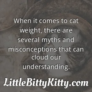 When it comes to cat weight, there are several myths and misconceptions that can cloud our understanding.