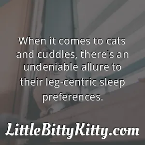 When it comes to cats and cuddles, there's an undeniable allure to their leg-centric sleep preferences.