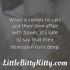 When it comes to cats and their love affair with boxes, it's safe to say that their obsession runs deep.