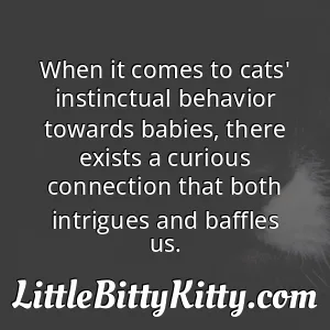 When it comes to cats' instinctual behavior towards babies, there exists a curious connection that both intrigues and baffles us.