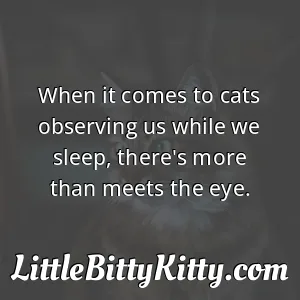 When it comes to cats observing us while we sleep, there's more than meets the eye.