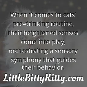 When it comes to cats' pre-drinking routine, their heightened senses come into play, orchestrating a sensory symphony that guides their behavior.