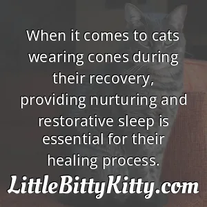 When it comes to cats wearing cones during their recovery, providing nurturing and restorative sleep is essential for their healing process.